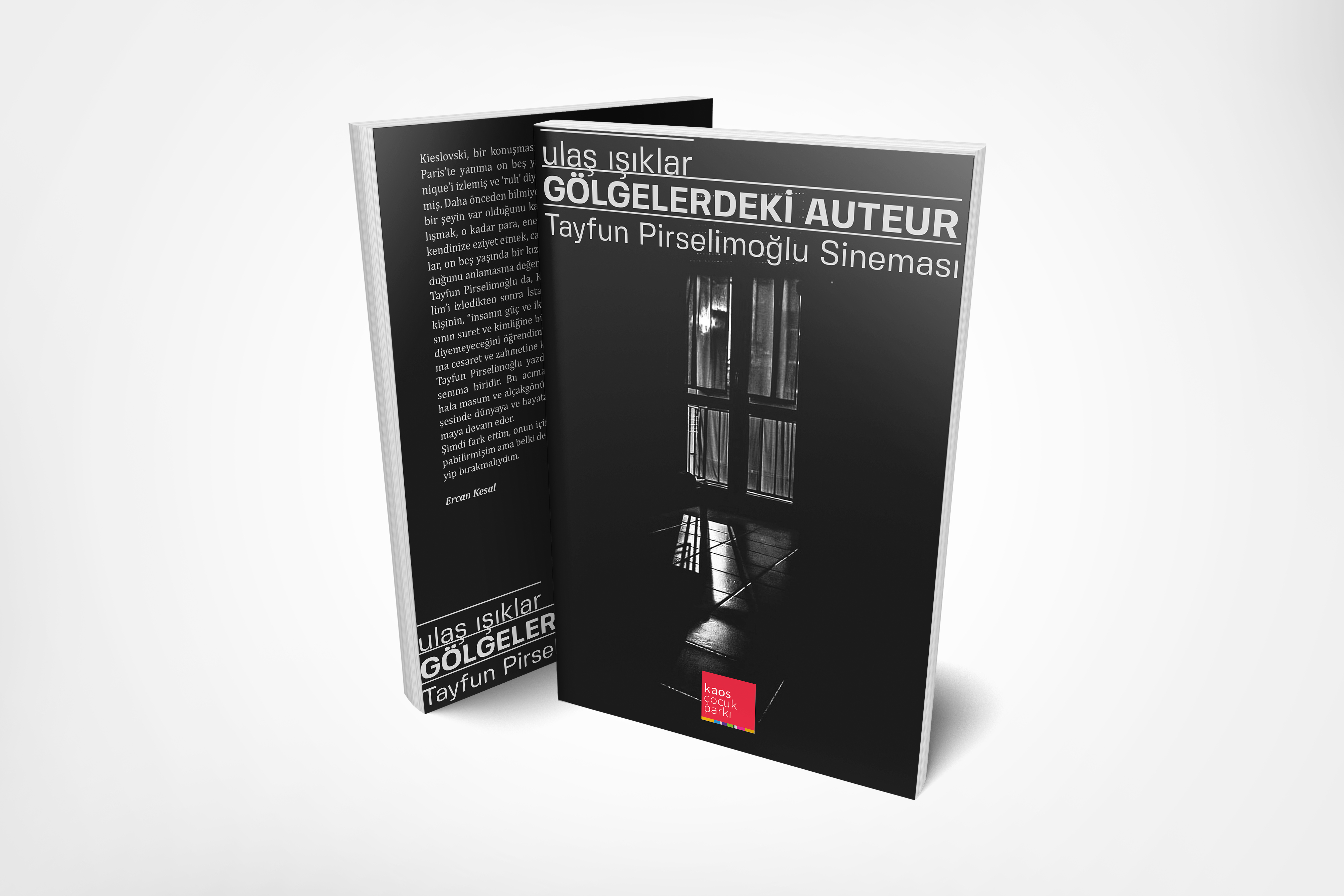 Gölgelerdeki Auteur: Tayfun Pirselimoğlu Sineması